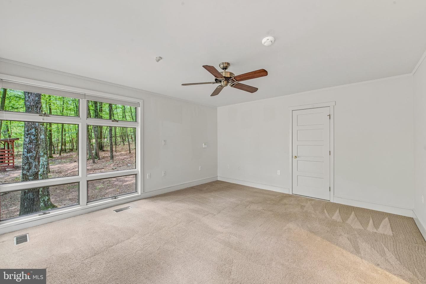 355 Sandstone Lane photo 19