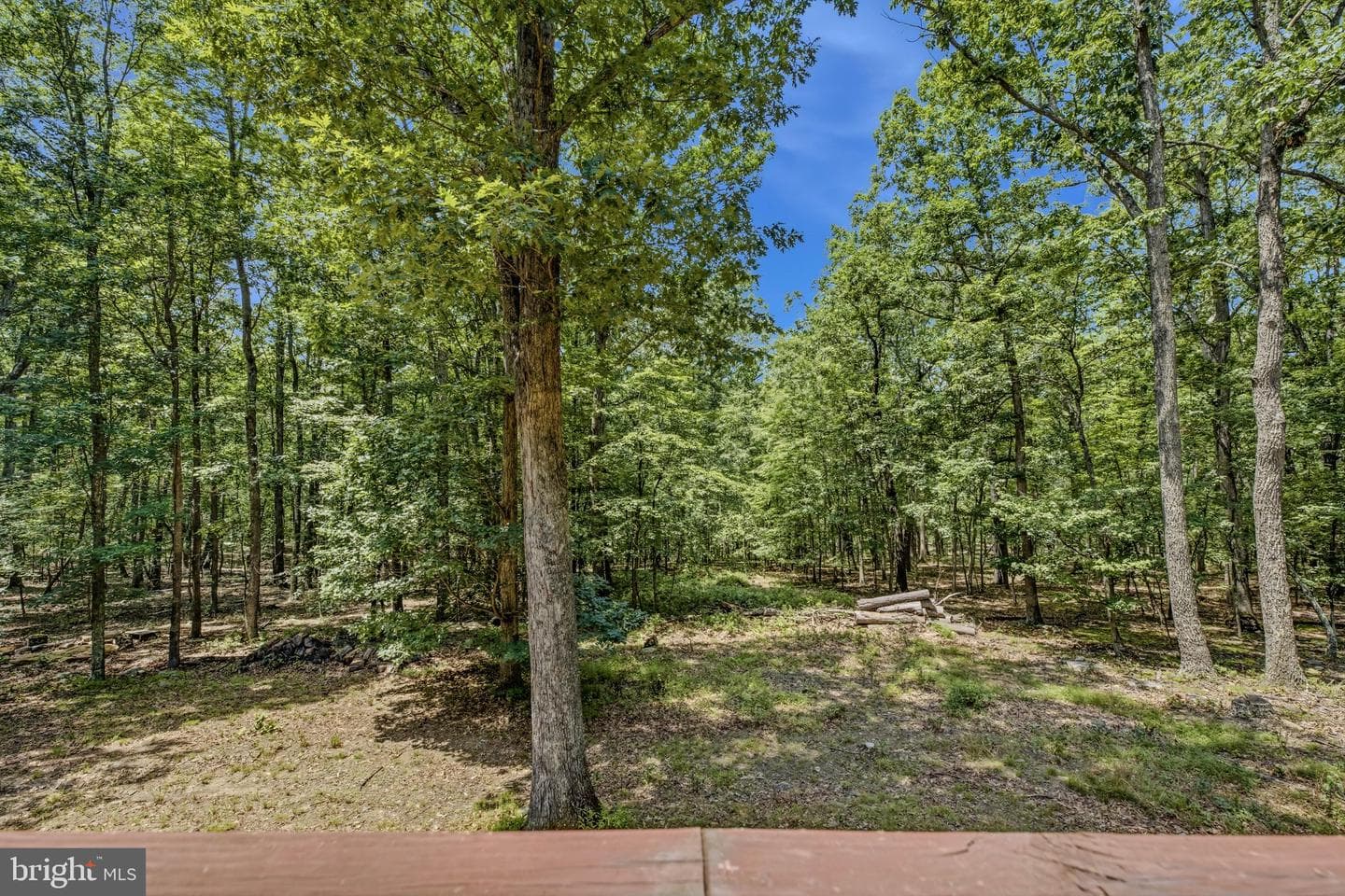 250 Flat Ridge Road photo 17