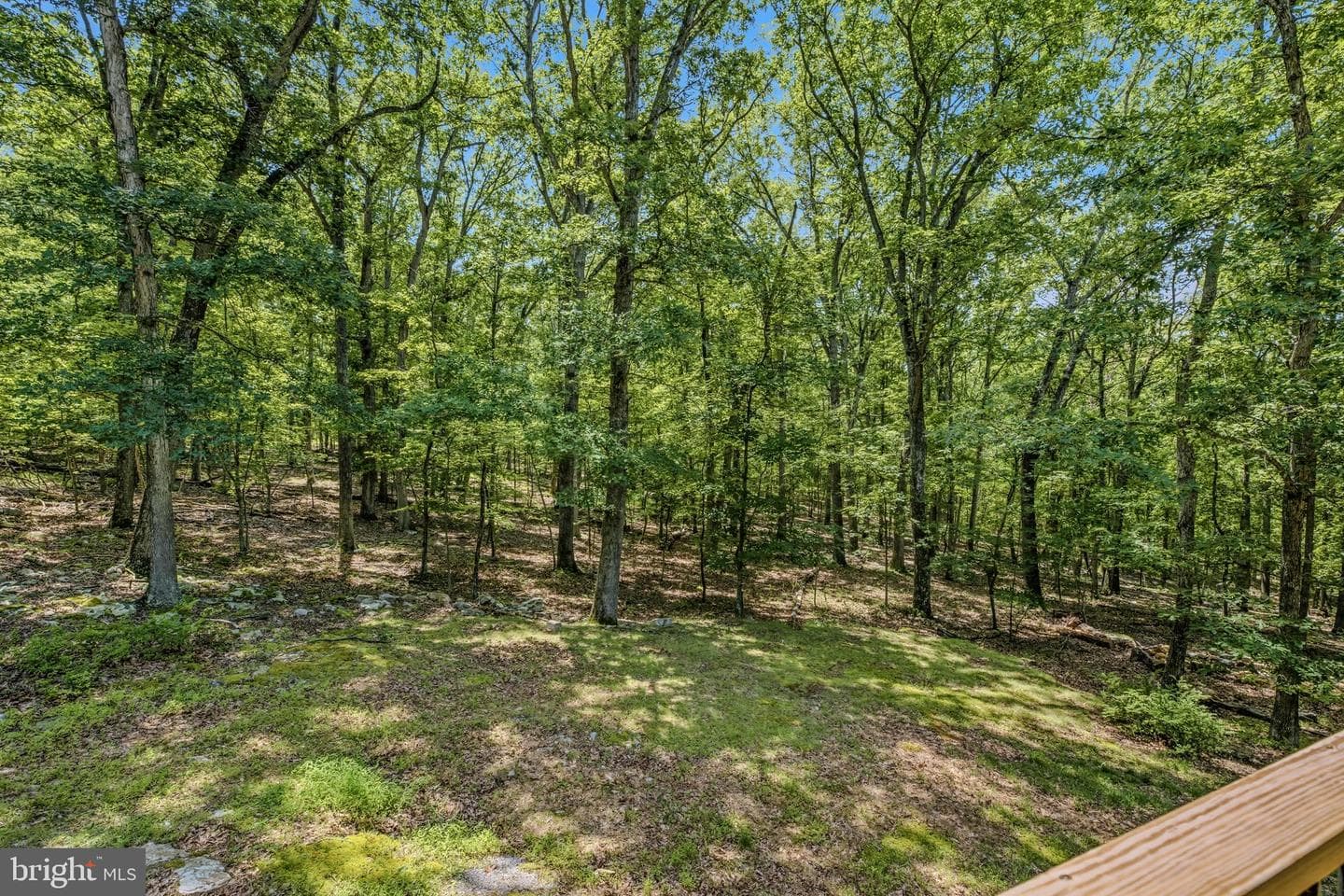 250 Flat Ridge Road photo 41