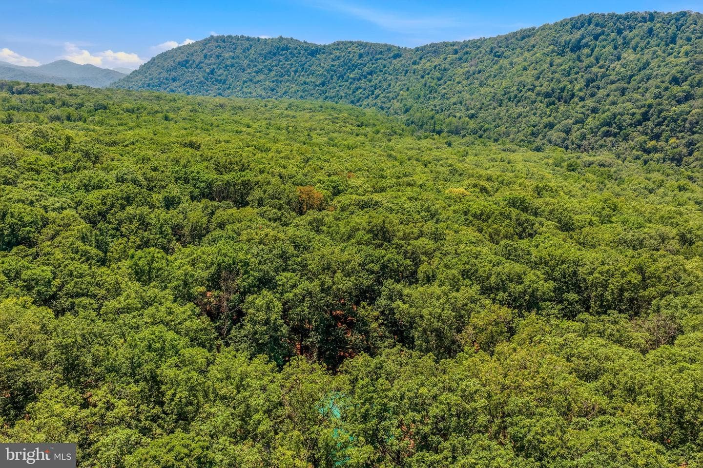 250 Flat Ridge Road photo 46