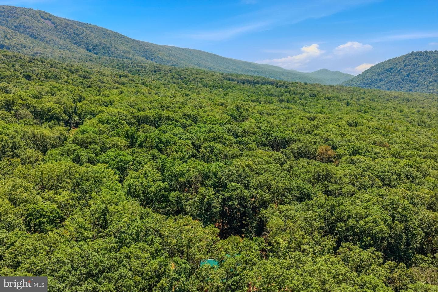 250 Flat Ridge Road photo 48
