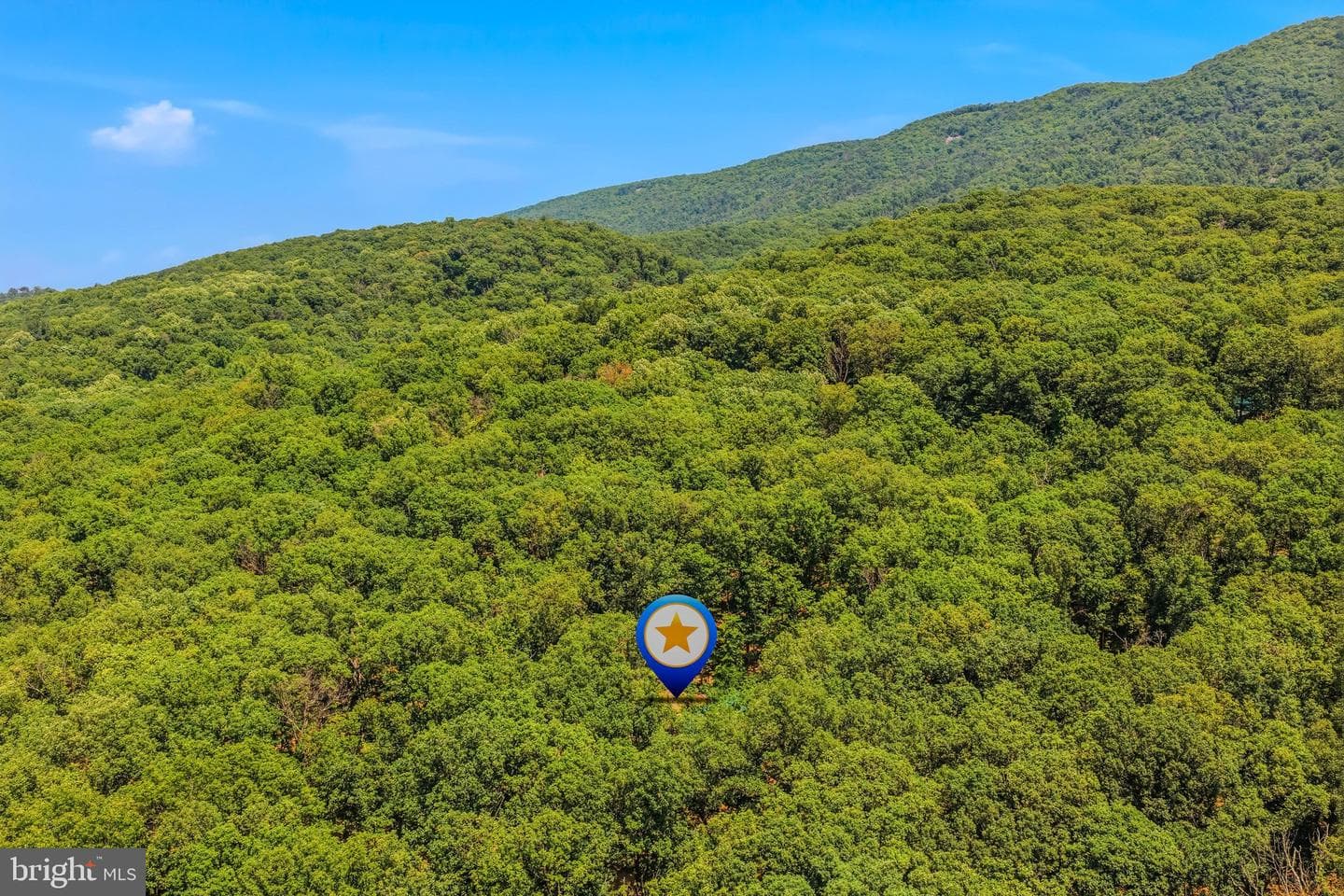 250 Flat Ridge Road photo 51