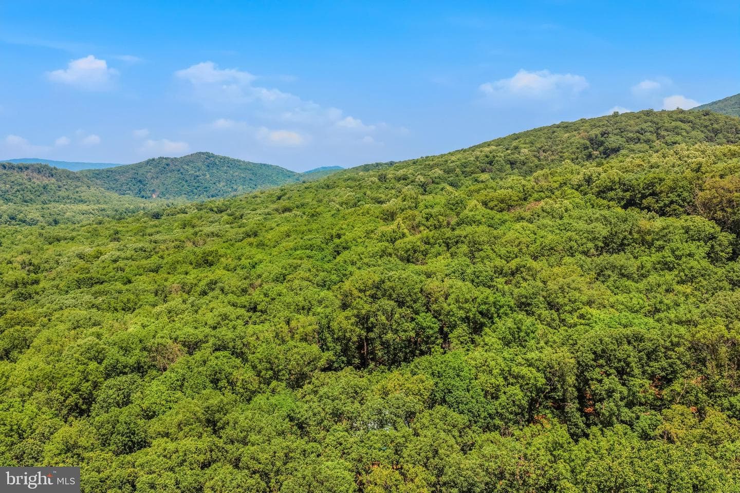 250 Flat Ridge Road photo 54