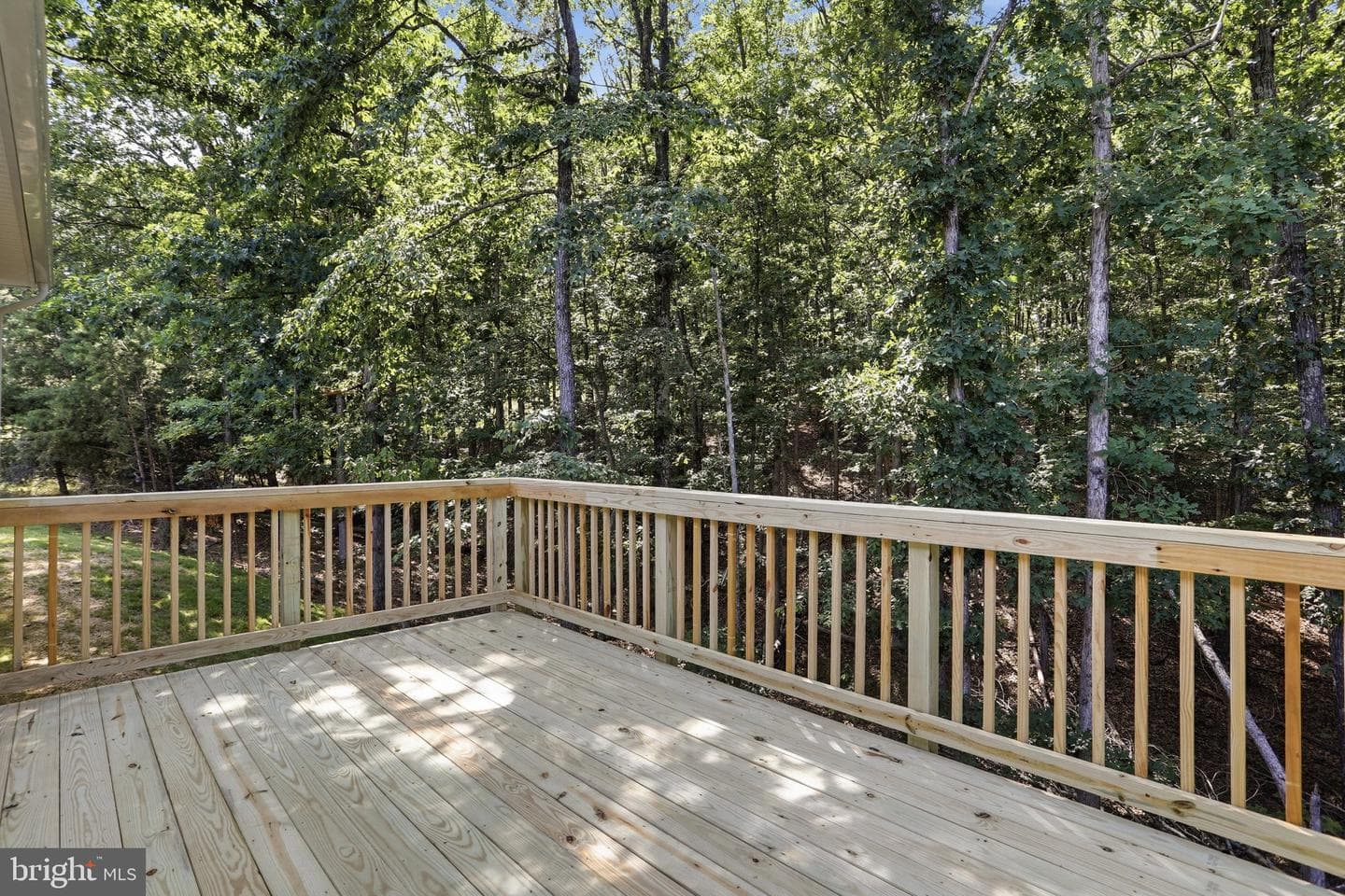 159 Bear Paw Lane photo 4