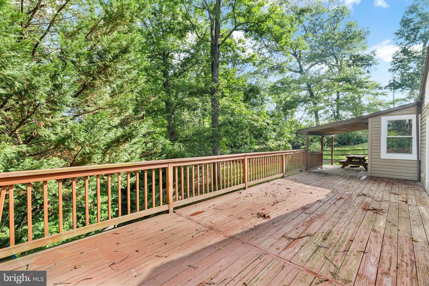 128 Barksdale Lane photo 23