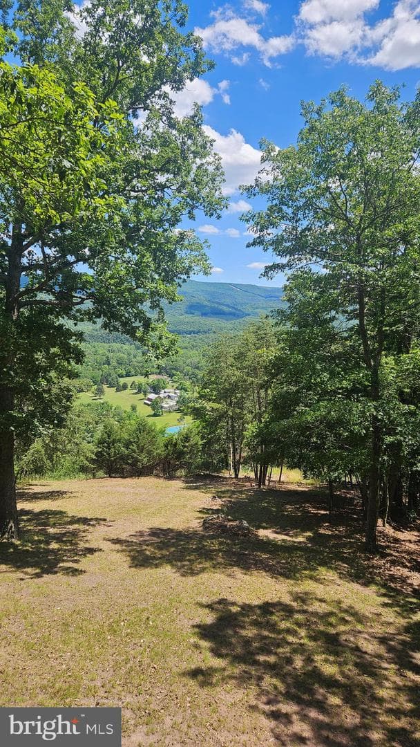 80 Trofton Hollow Court photo 23