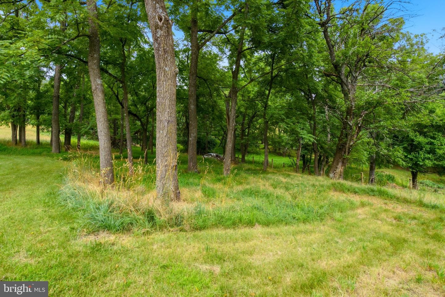 2197 Mauzy Road photo 87
