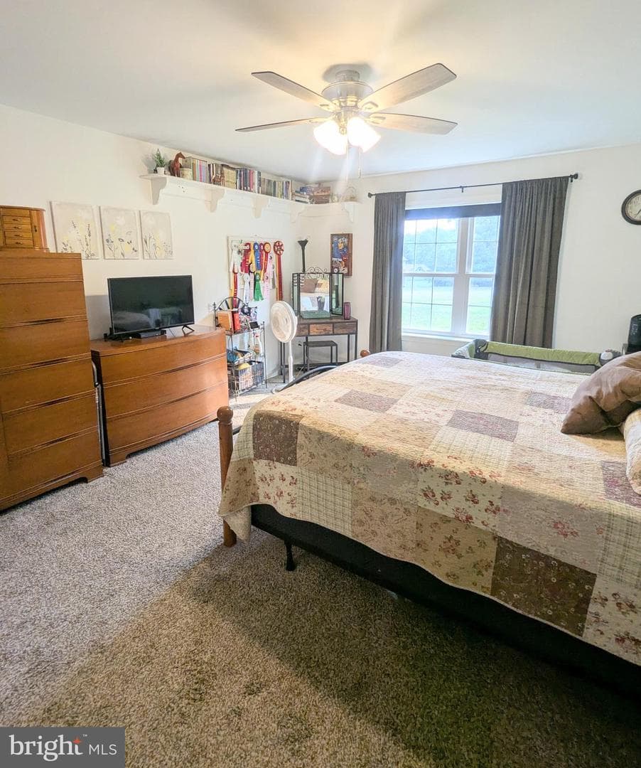 383 Cielo Lane photo 37