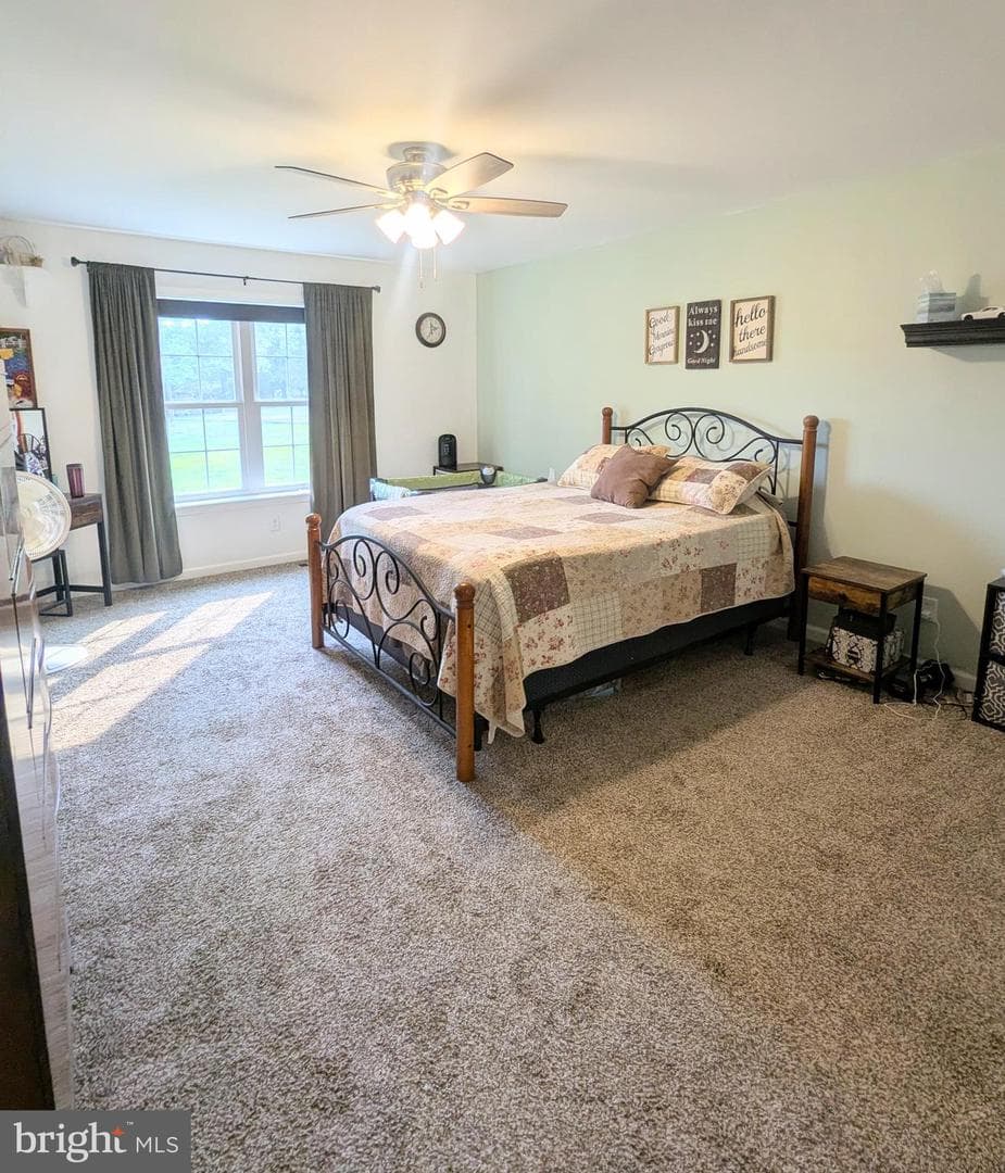 383 Cielo Lane photo 38
