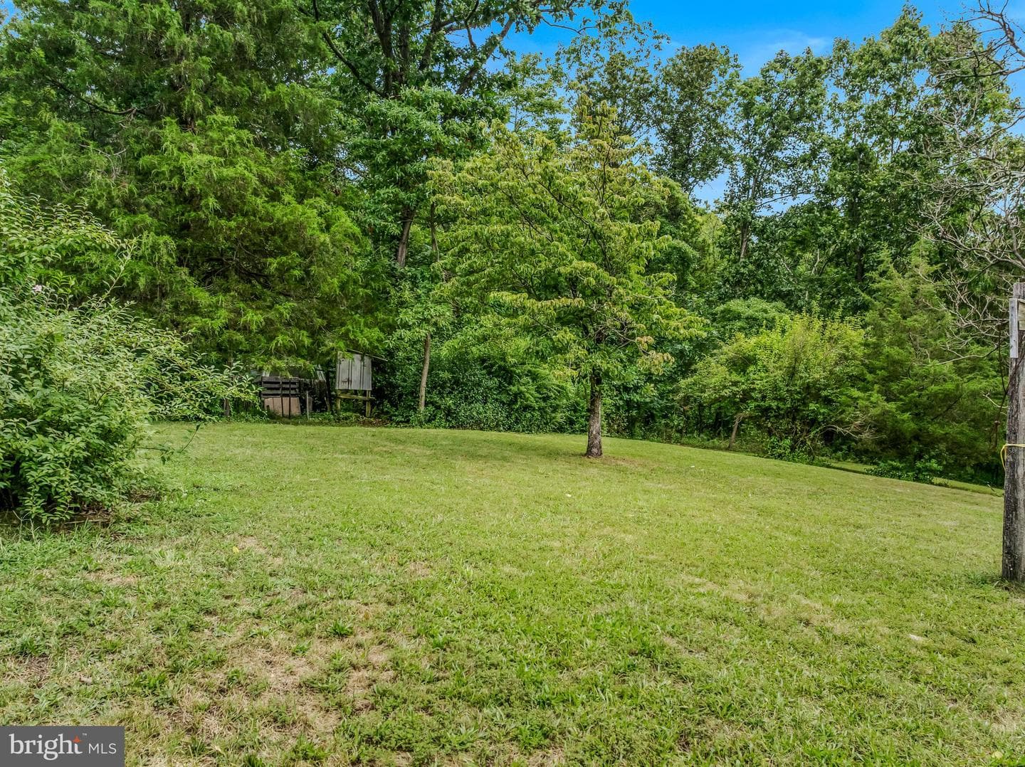 175 Pheasant Lane photo 1