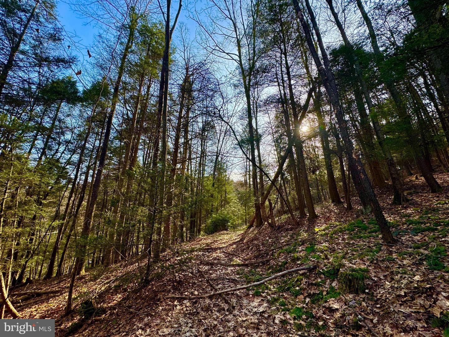 268 Wild Flower Way photo 13