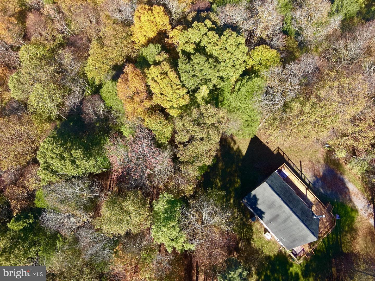 268 Wild Flower Way photo 9
