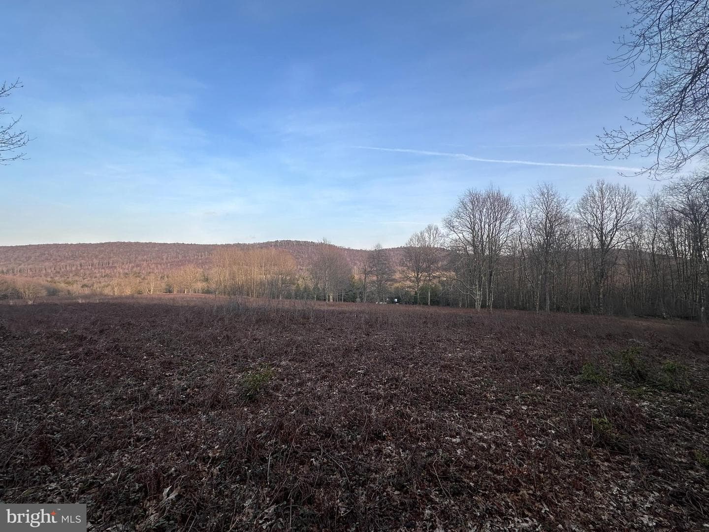 1157 Lakeford Road photo 13