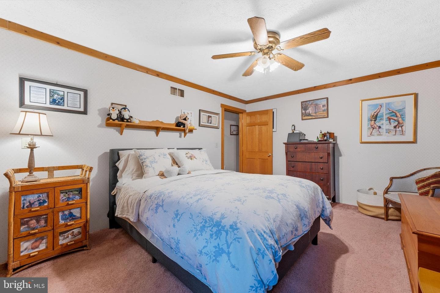 37 Sorrel Ct photo 18