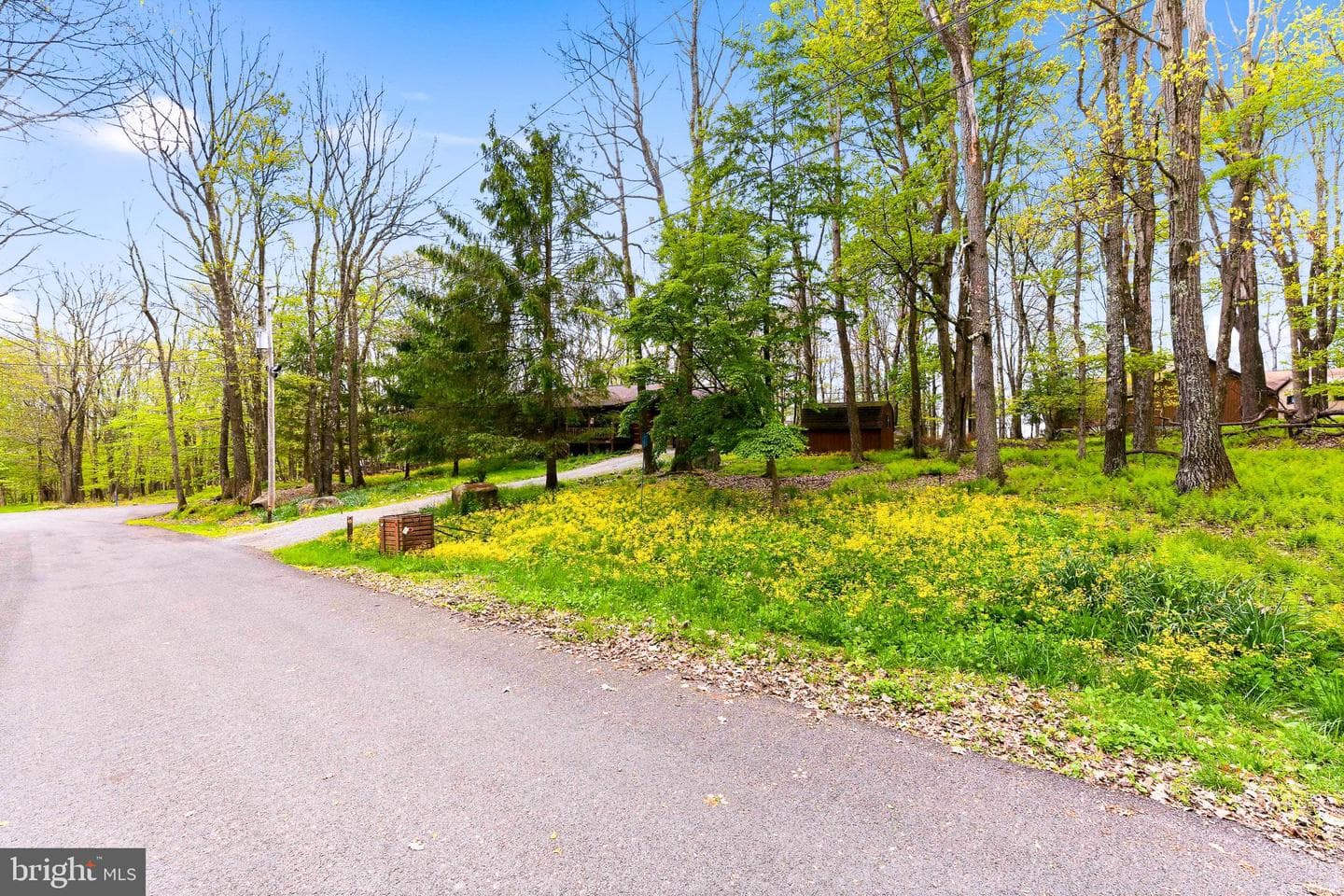 37 Sorrel Ct photo 33