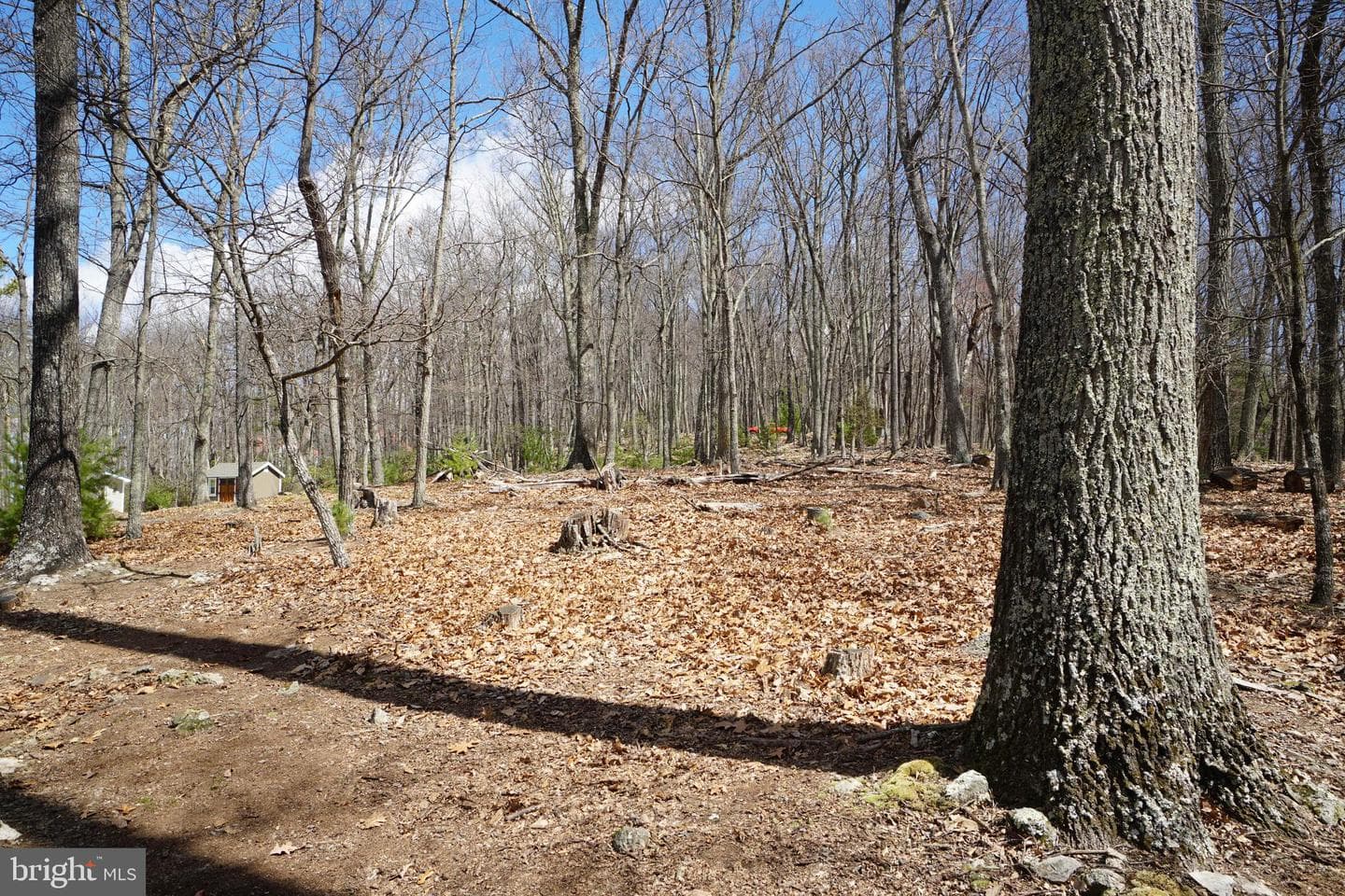 741 Loop Road photo 76
