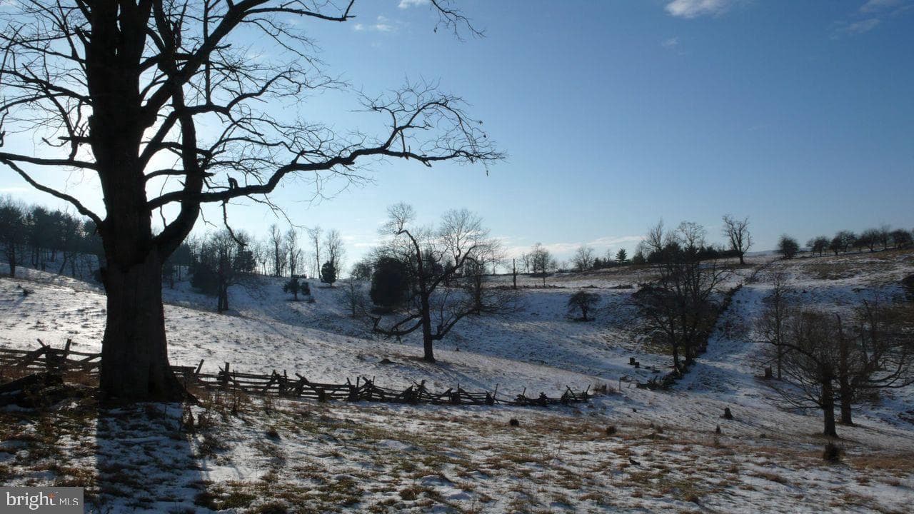 270 Dahmer Road photo 16