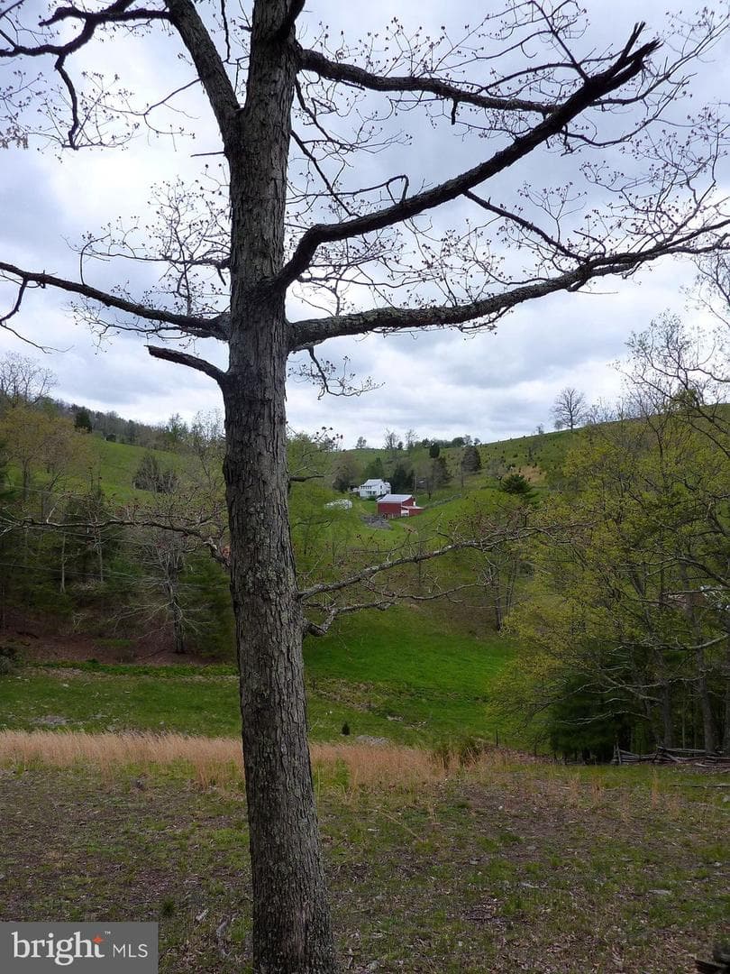 270 Dahmer Road photo 34