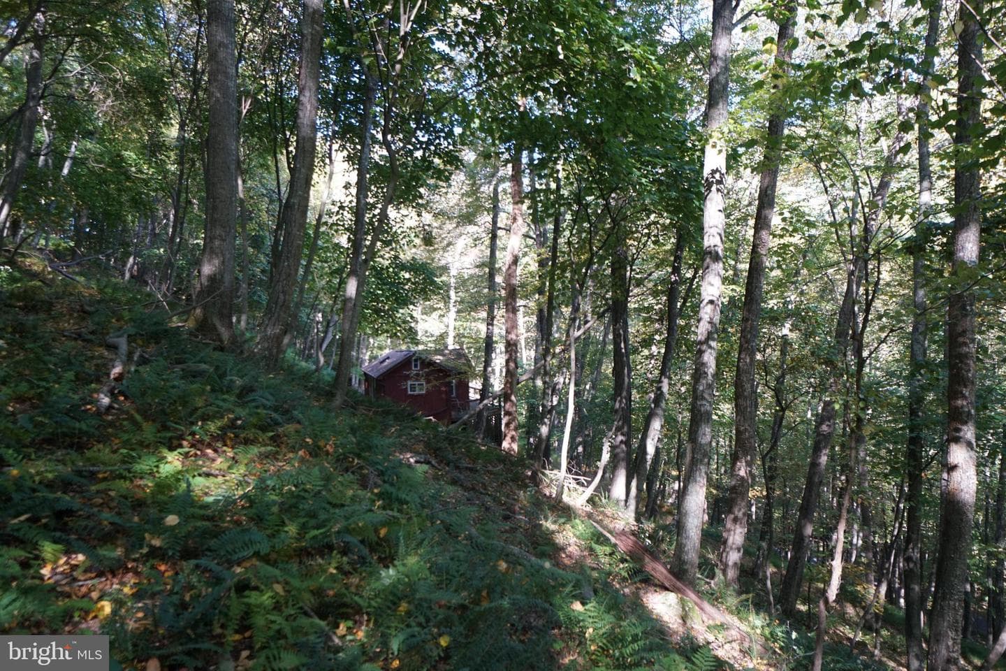 1453 Dry Run Road photo 41