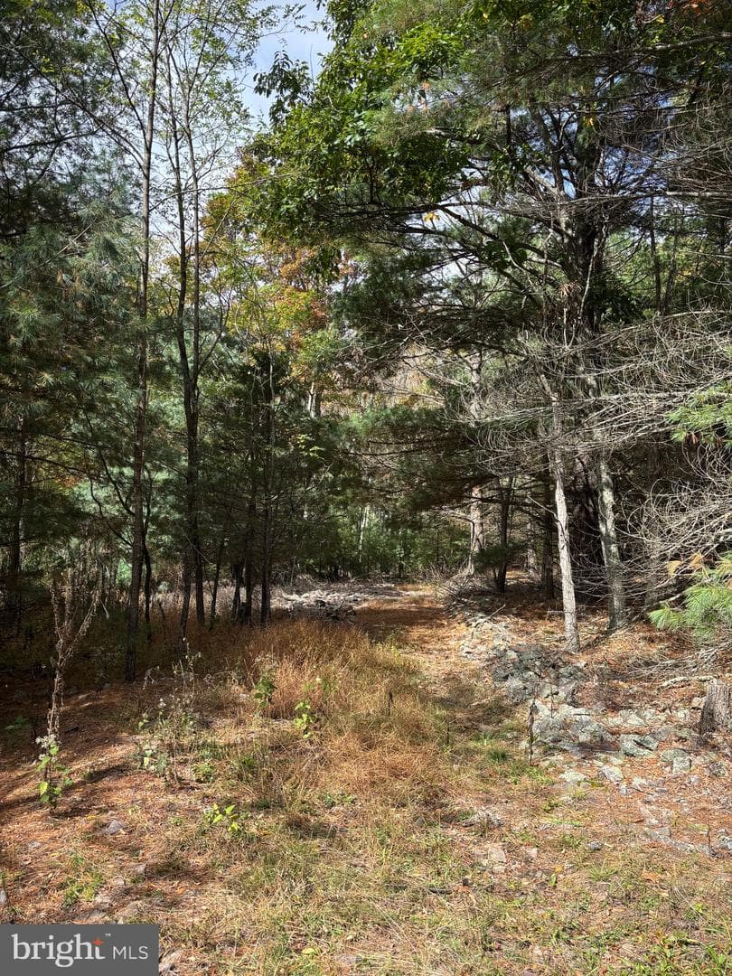 3825 Dickenson Mountain Road photo 29