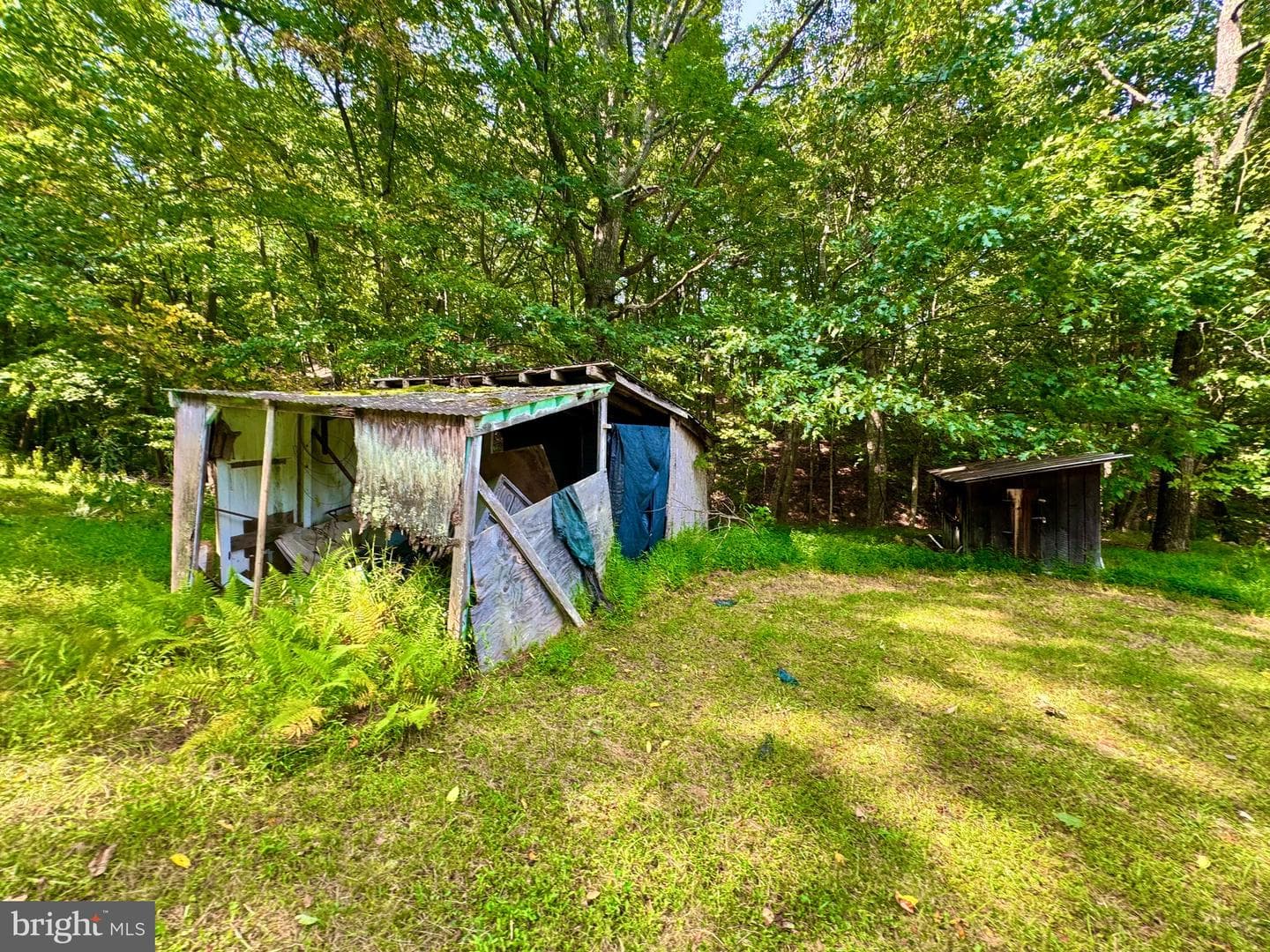 378 Indian Trail photo 11