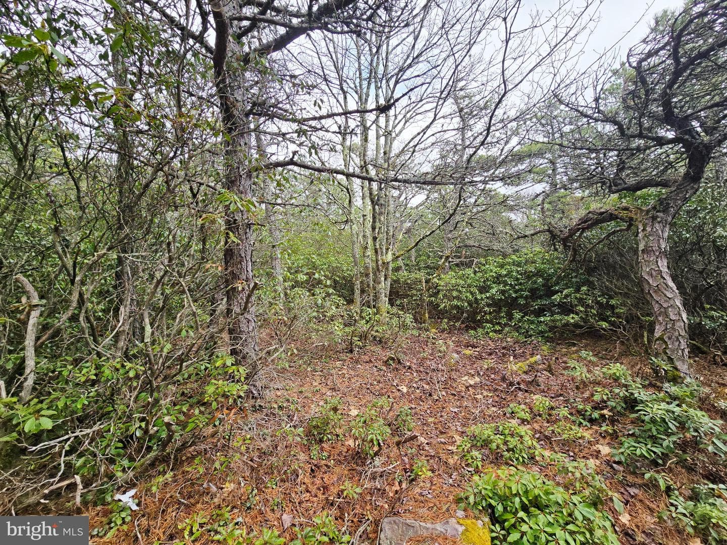 148 Pond Road photo 19