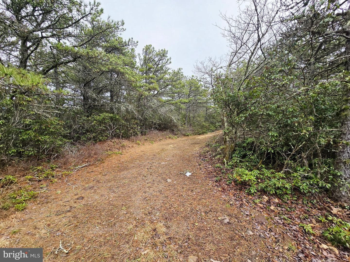 148 Pond Road photo 20