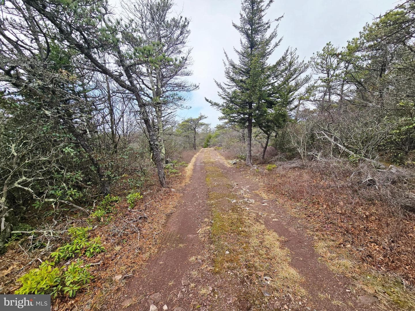 148 Pond Road photo 22