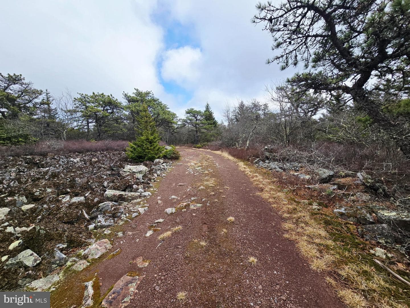 148 Pond Road photo 23