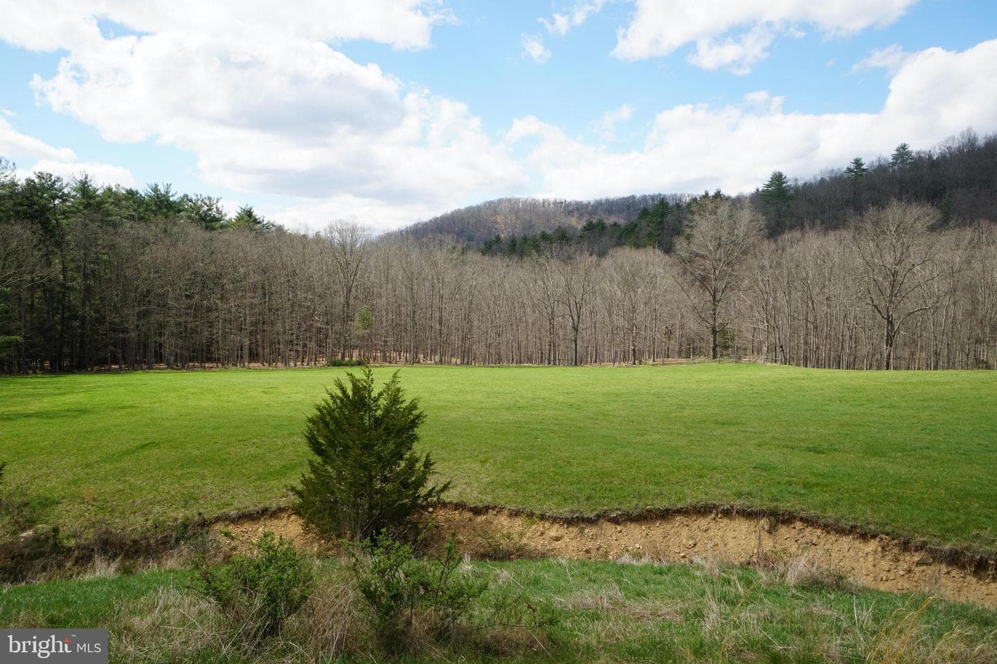1873 Capito Hill Road photo 10