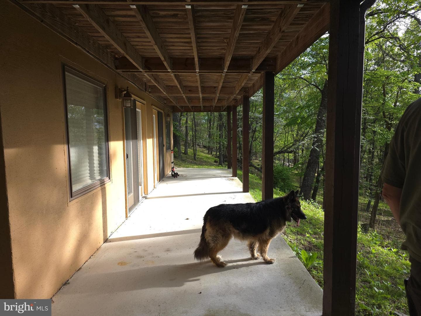 384 Scarlet Tanager Trail photo 59