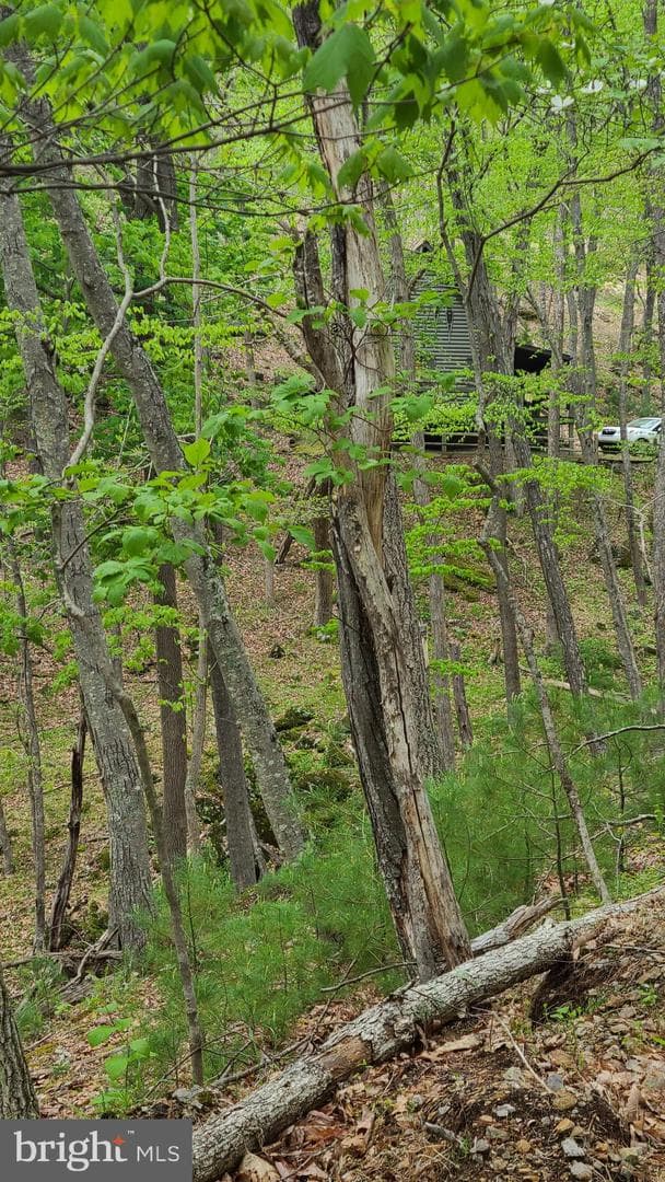 740 Deer Crossing Trail photo 32