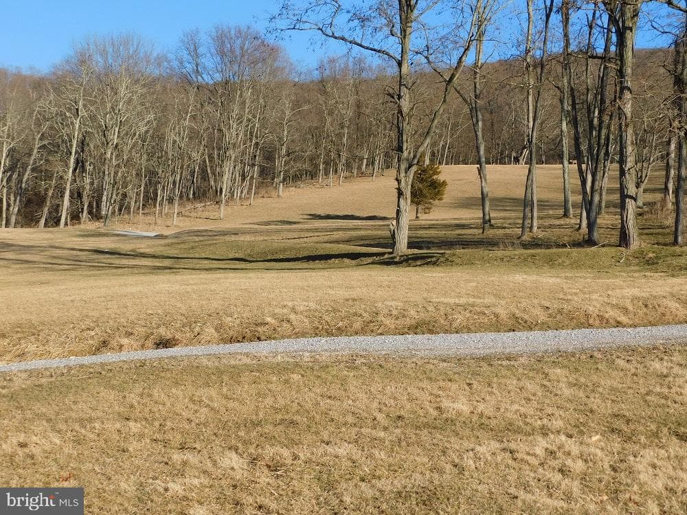 515 Lookout Lane photo 58