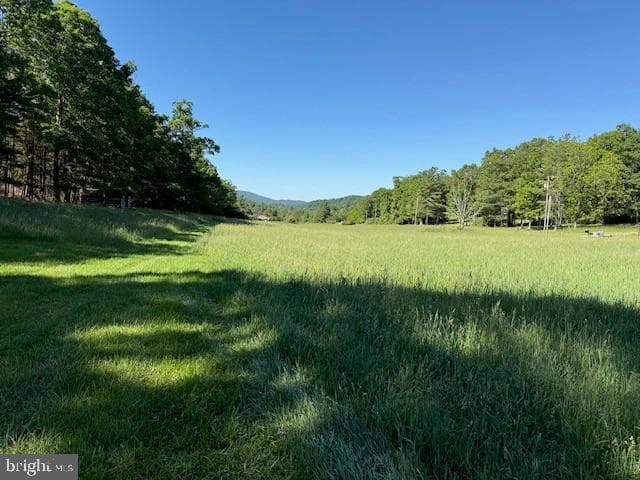 184 Skiles Pitsenbarger Road photo 12