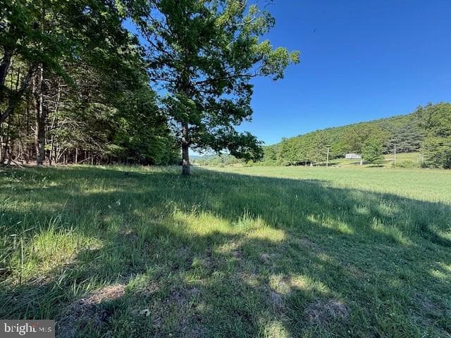 184 Skiles Pitsenbarger Road photo 28