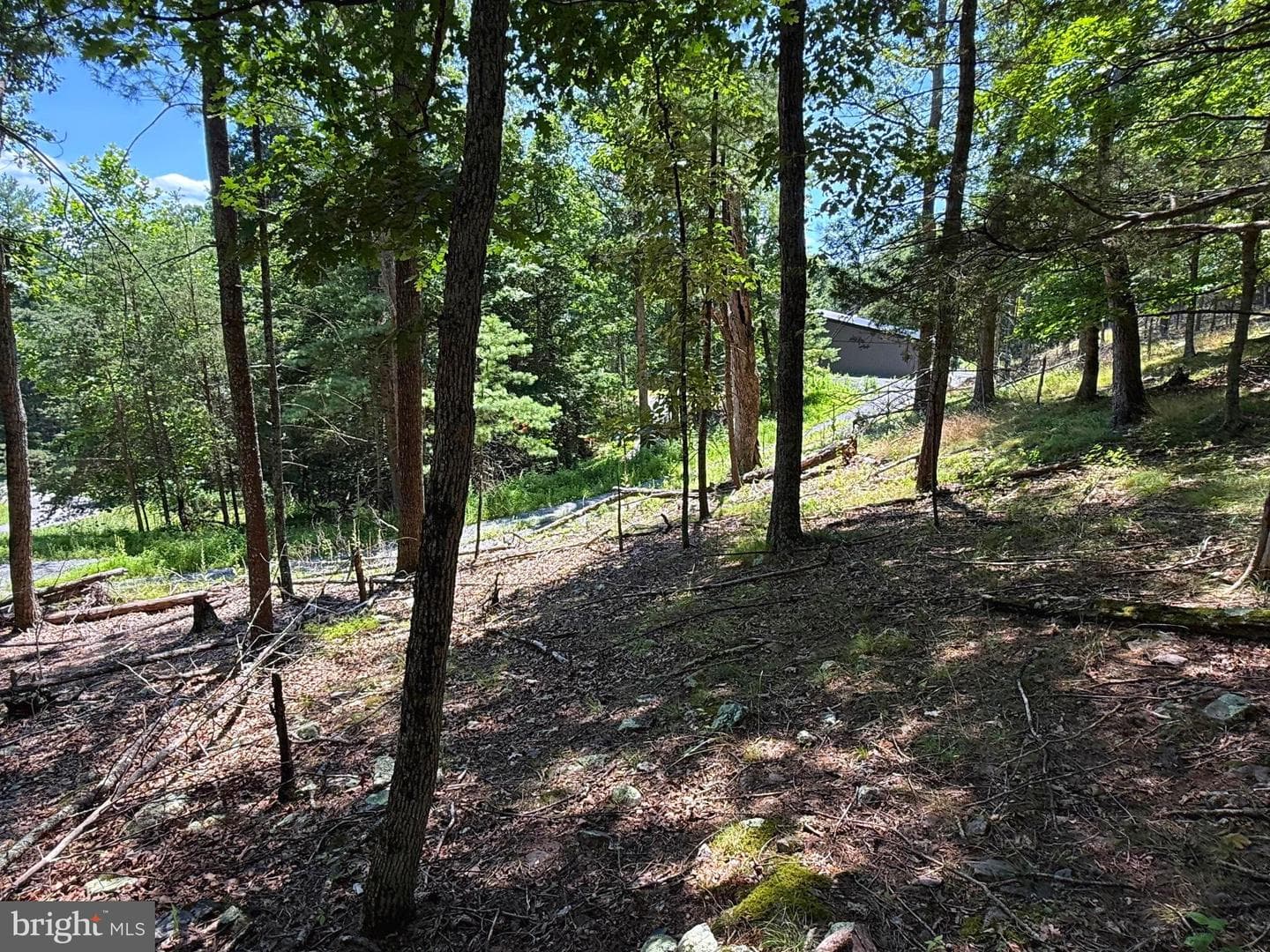 279 Waterline Drive photo 6