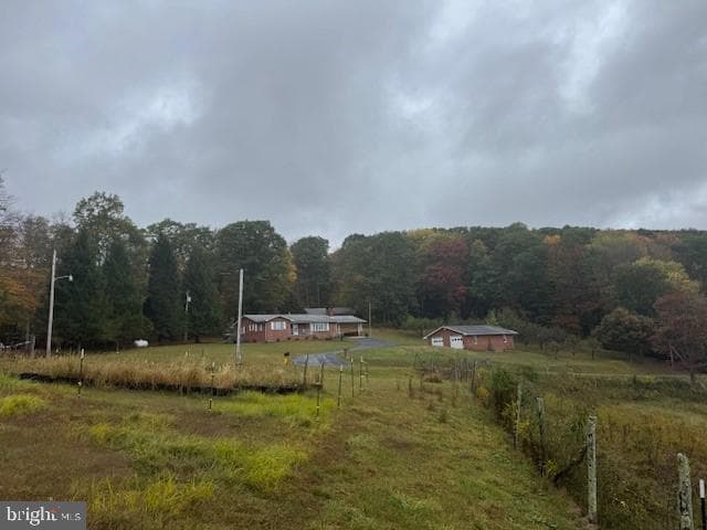 11692 Adolph Road photo 14