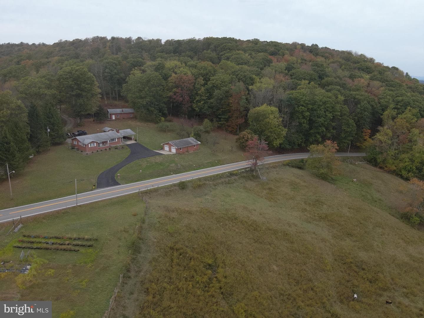11692 Adolph Road photo 58
