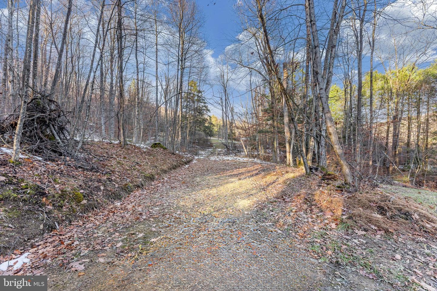 1012 Cannon Settlement Road photo 46