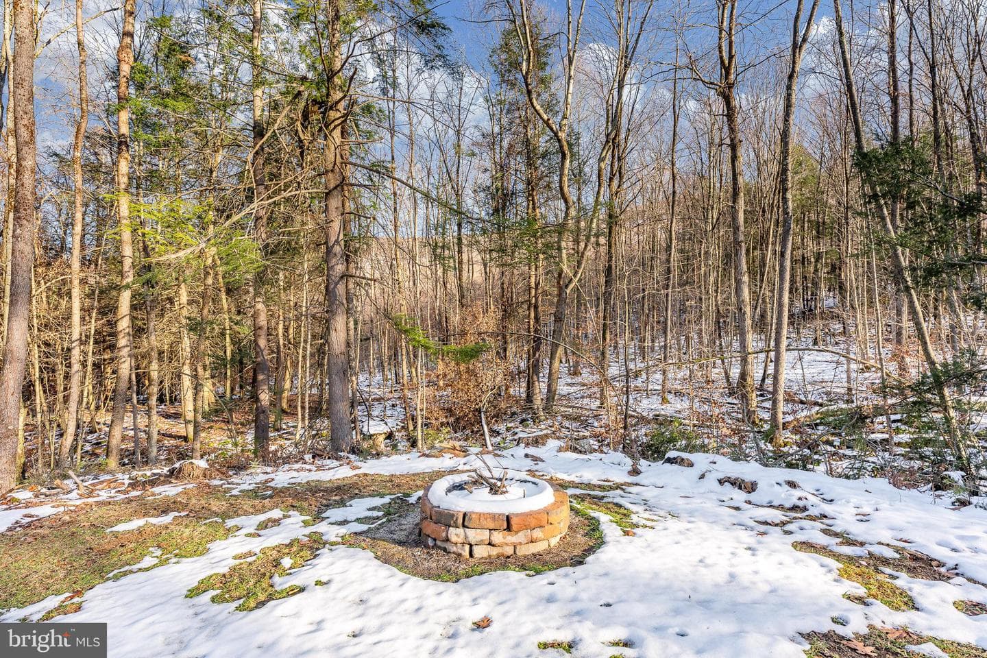 1012 Cannon Settlement Road photo 53